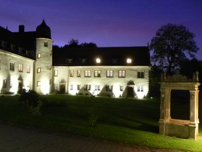 Schloss Buchenau